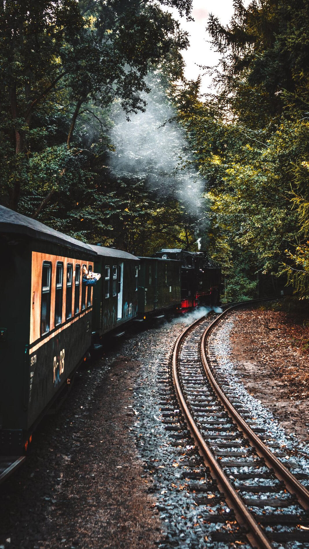 Darjeeling Toy Train in Mist and Smoke Colour photo of the Darjeeling Himalayan toy train curving right through mist, steam, and surrounding trees.